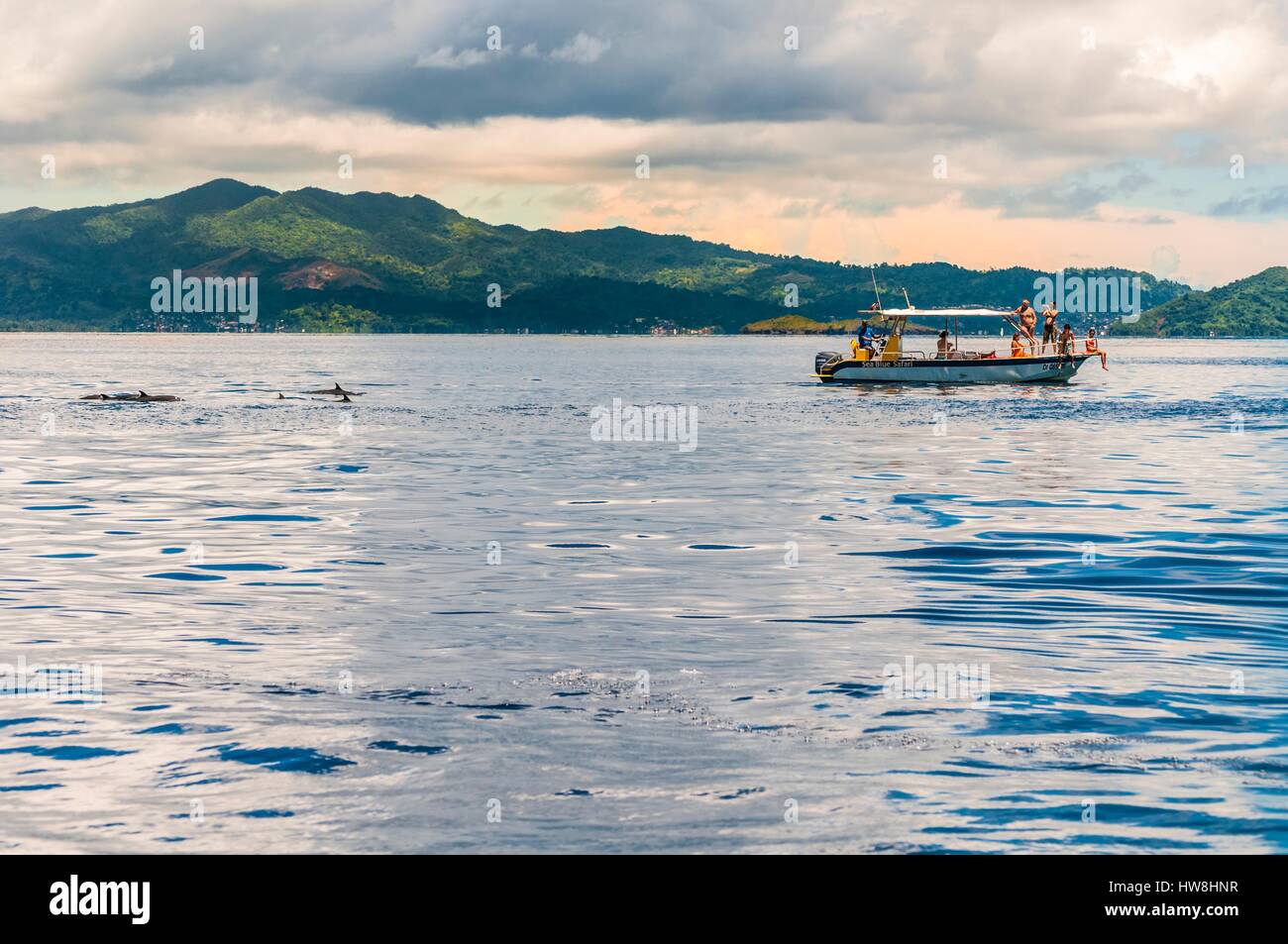 Frankreich, Insel Mayotte (französische überseeische Departements), Grande  Terre, Ausgang FKK-Boot für Delfine beobachten in der Lagune, hier  pantropical spotted Dolphins (stenella Attenuata Stockfotografie - Alamy