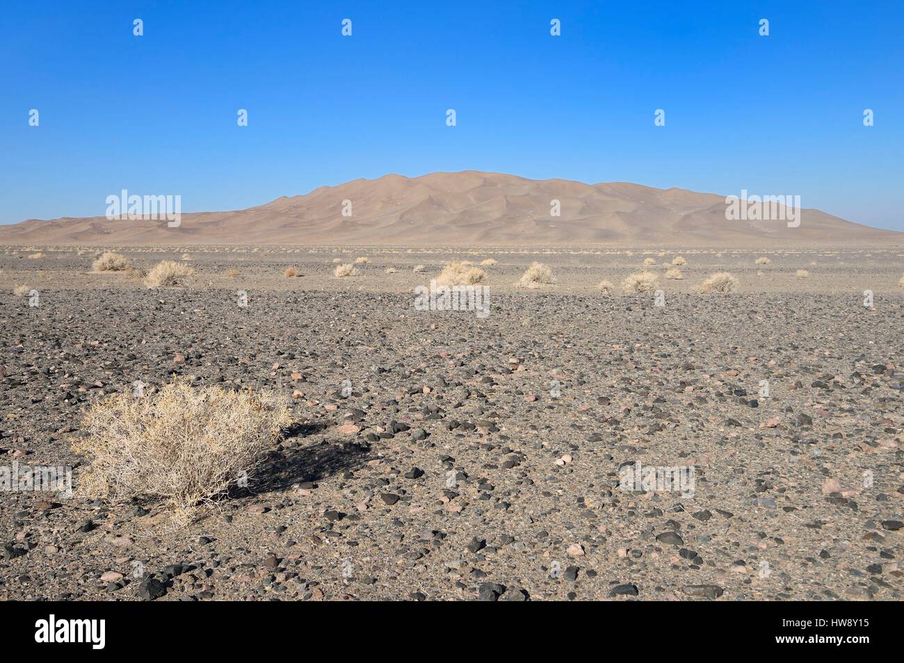 Iran, Yazd Provinz, Dasht-e Kavir Wüste, Moghestan, Dünensystem, dessen höchste Düne 200 Meter erreicht Stockfoto