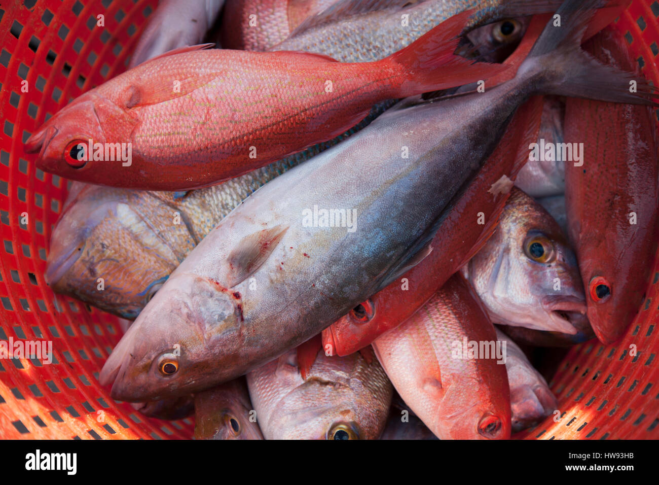 Fischer reinigen sie ihren Fisch entlang der Docks in Destin, Florida Stockfoto Fischer reinigen sie ihren Fisch entlang der Docks in Destin, Florida Stockfoto