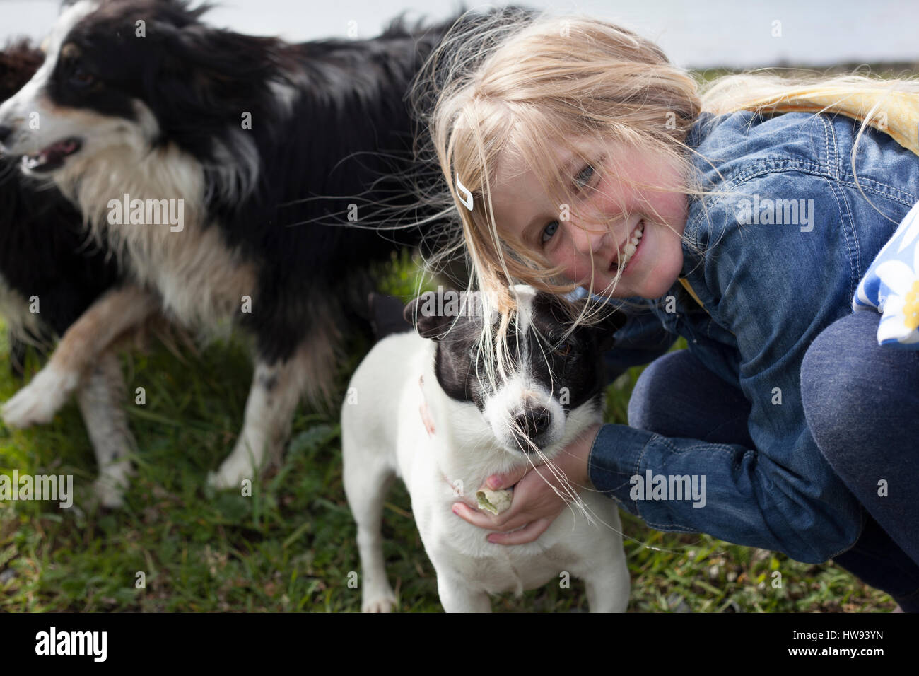 Mädchen spielt mit ihren Hunden auf einem Bauernhof an der Westküste von Irland. Stockfoto