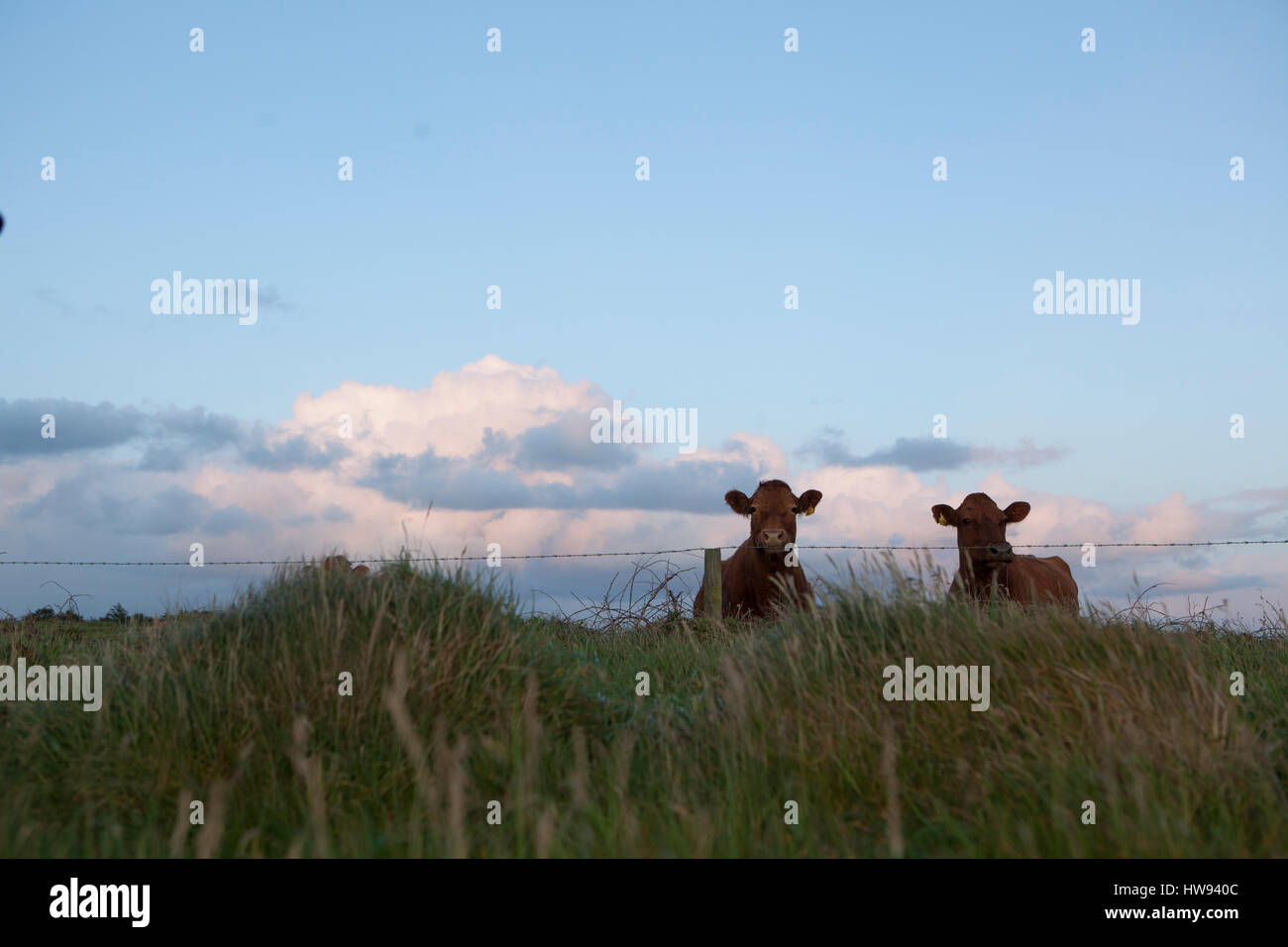 Blick auf die Hügel der Toskana Stockfoto Blick auf die Hügel der Toskana Stockfoto