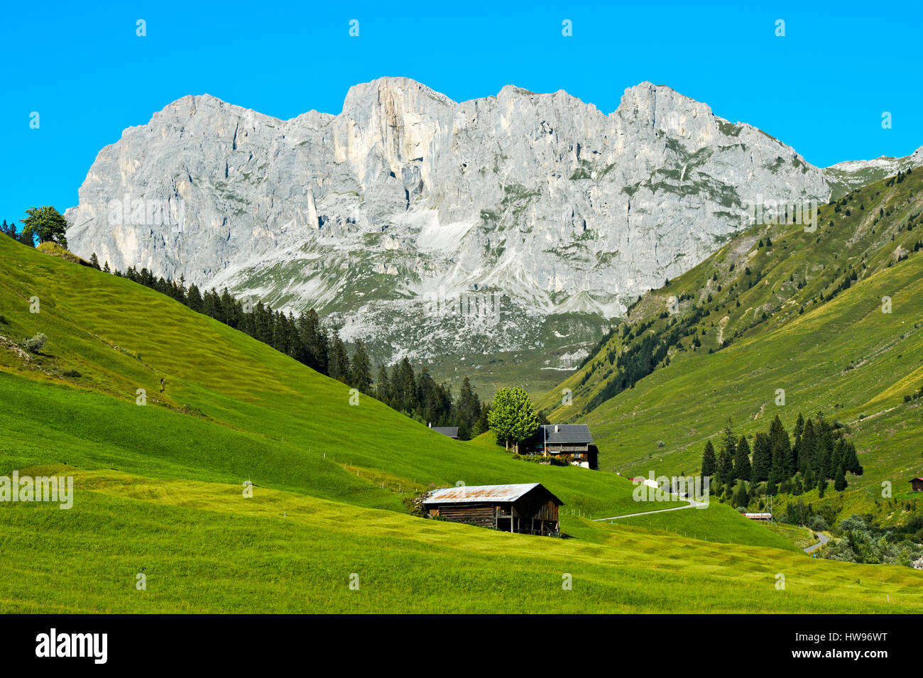 Wiesen Alp Im Bereich St Ant nien Am R cken Des Gipfels Wiss Platte wiesen-alp-im-bereich-st-ant-nien-am-r-cken-des-gipfels-wiss-platte