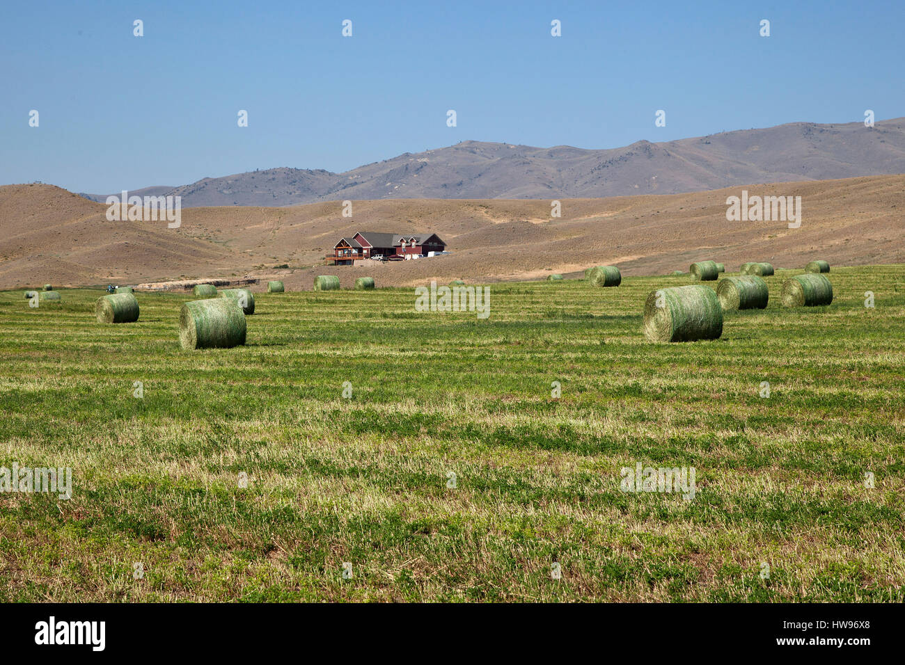 Runde Heuballen auf gemähten Wiese, Provinz von Montana, USA Stockfoto
