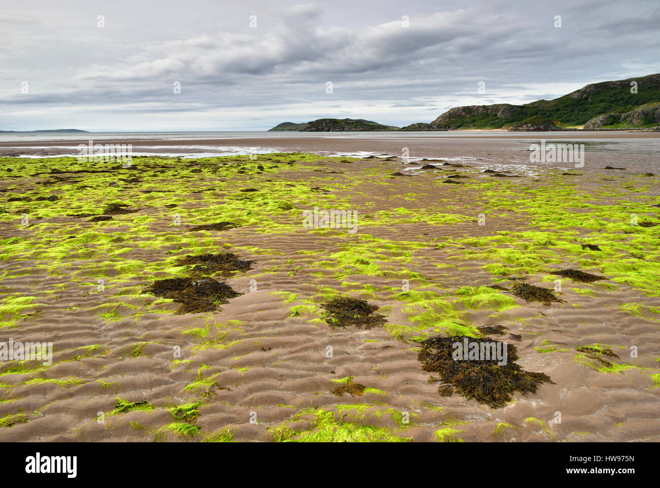 Niedrige Gezeiten Sie an einem Strand mit Algen, zwischen Laide und Mungasdale, Atlantikküste, Schottland, Vereinigtes Königreich Stockfoto