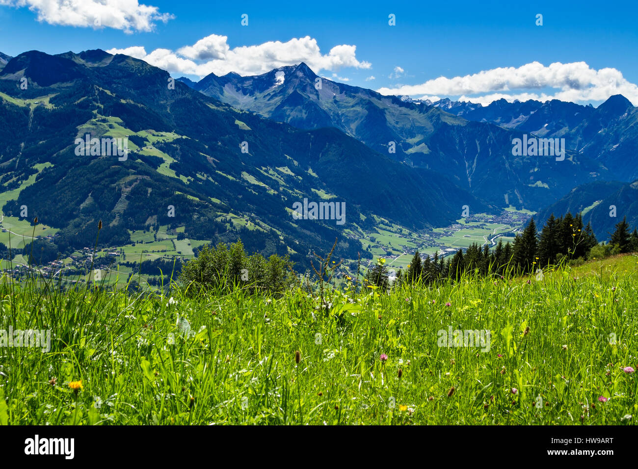 Blick auf die Berge mit grünen Wiese im Vordergrund. Zillertal-High Road, Österreich, Tyrol Stockfoto