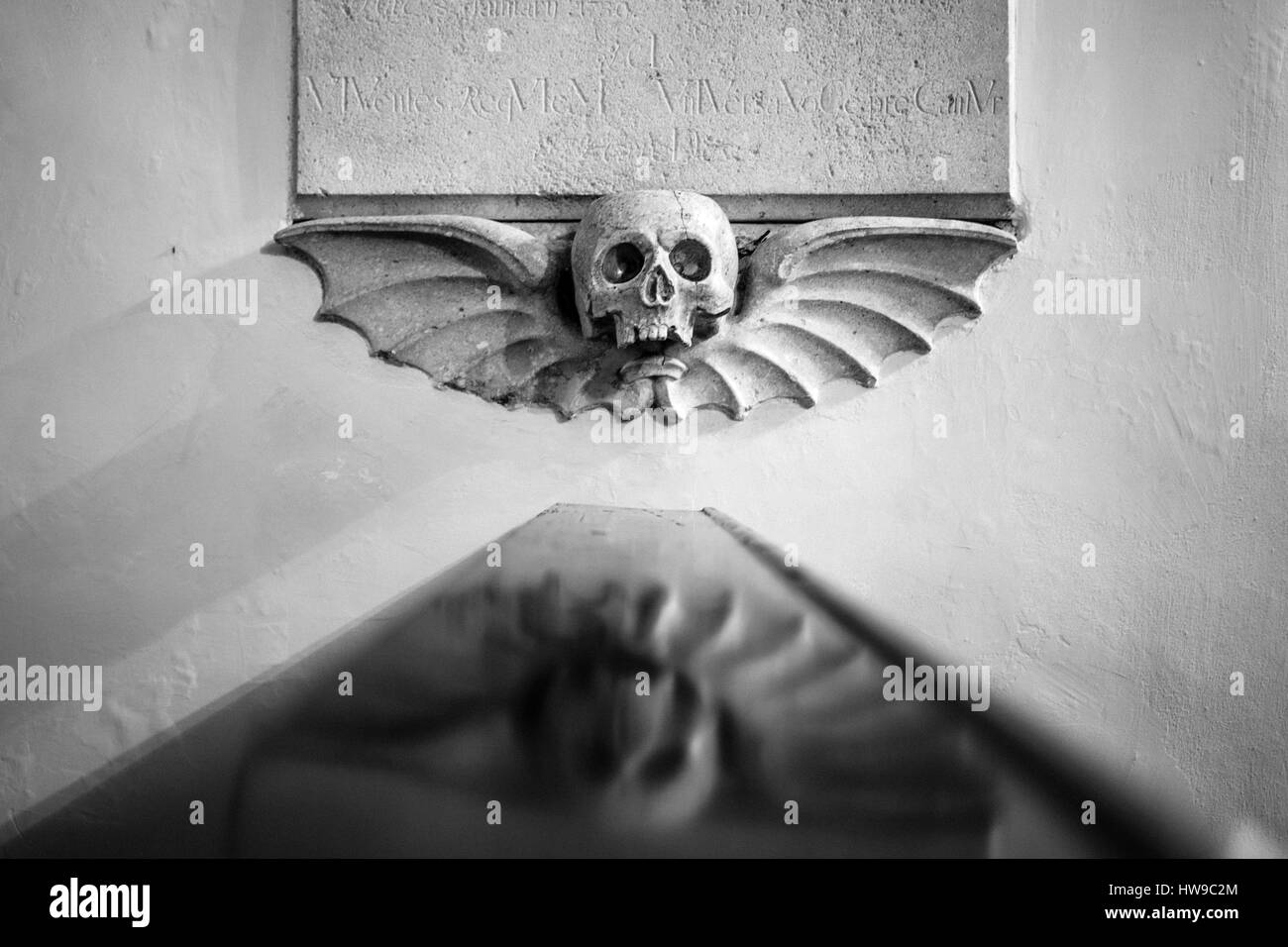 Totenkopf Stockfoto