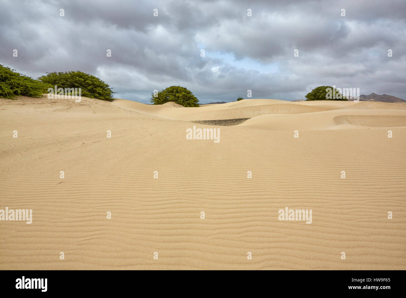 Deserto de Viana (Viana Wüste), Boa Vista, Kap Verde, Afrika Stockfoto