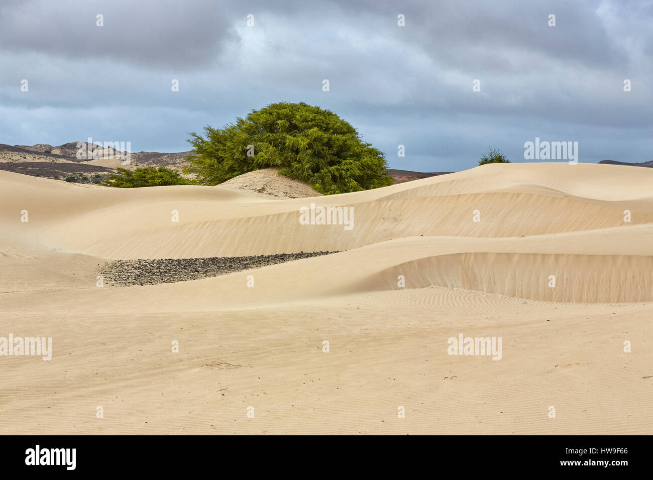 Deserto de Viana (Viana Wüste), Boa Vista, Kap Verde, Afrika Stockfoto