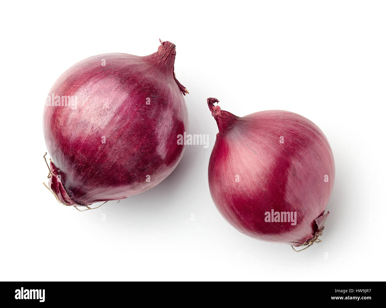 rote Zwiebeln isoliert auf weißem Hintergrund, Ansicht von oben Stockfoto