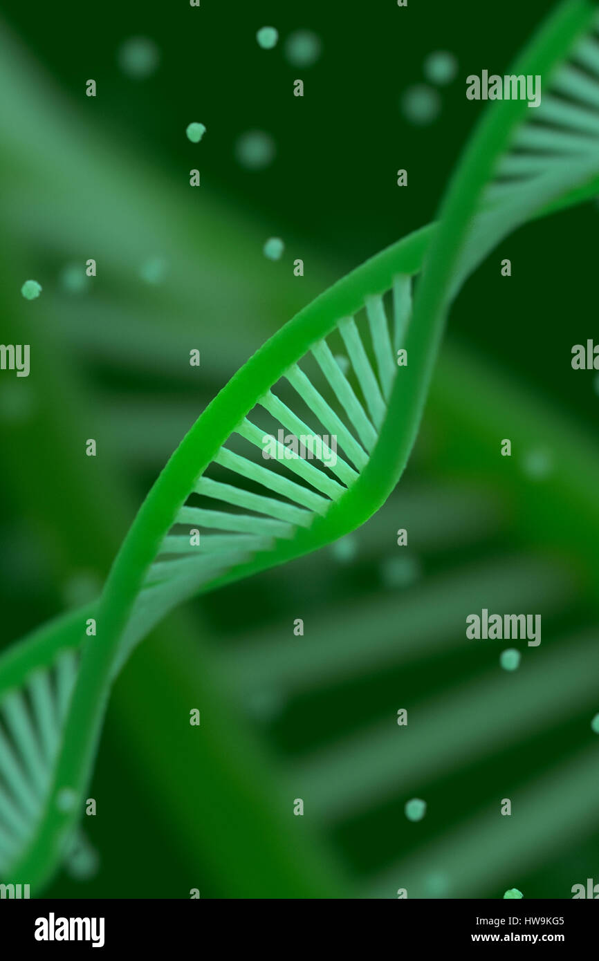 DNA-Kette Macroshot. Sehr detaillierte Render. Grüne Farbe. Wissenschaftlicher Hintergrund oder medizinischen Hintergrund. Ideal für Poster, Bucheinband, Flyer oder Ordner. SH Stockfoto