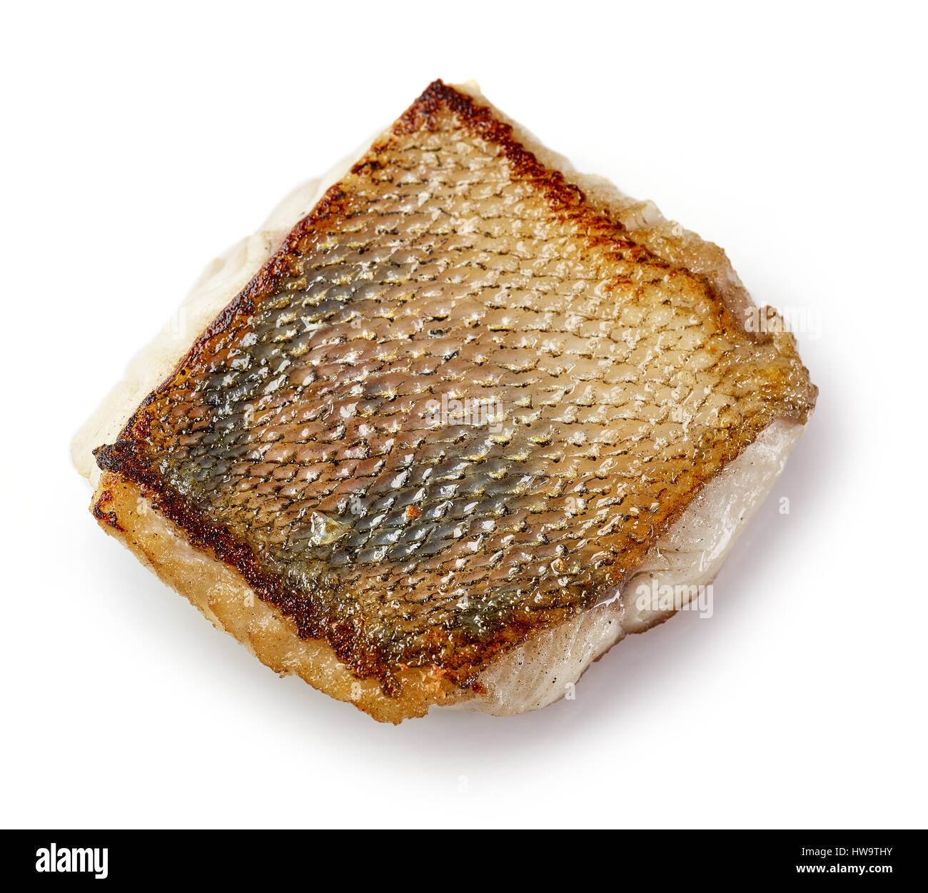 Gebratener Zander Filet isoliert auf weißem Hintergrund Stockfotografie ... Gebratener Zander Filet isoliert auf weißem Hintergrund Stockfotografie ...