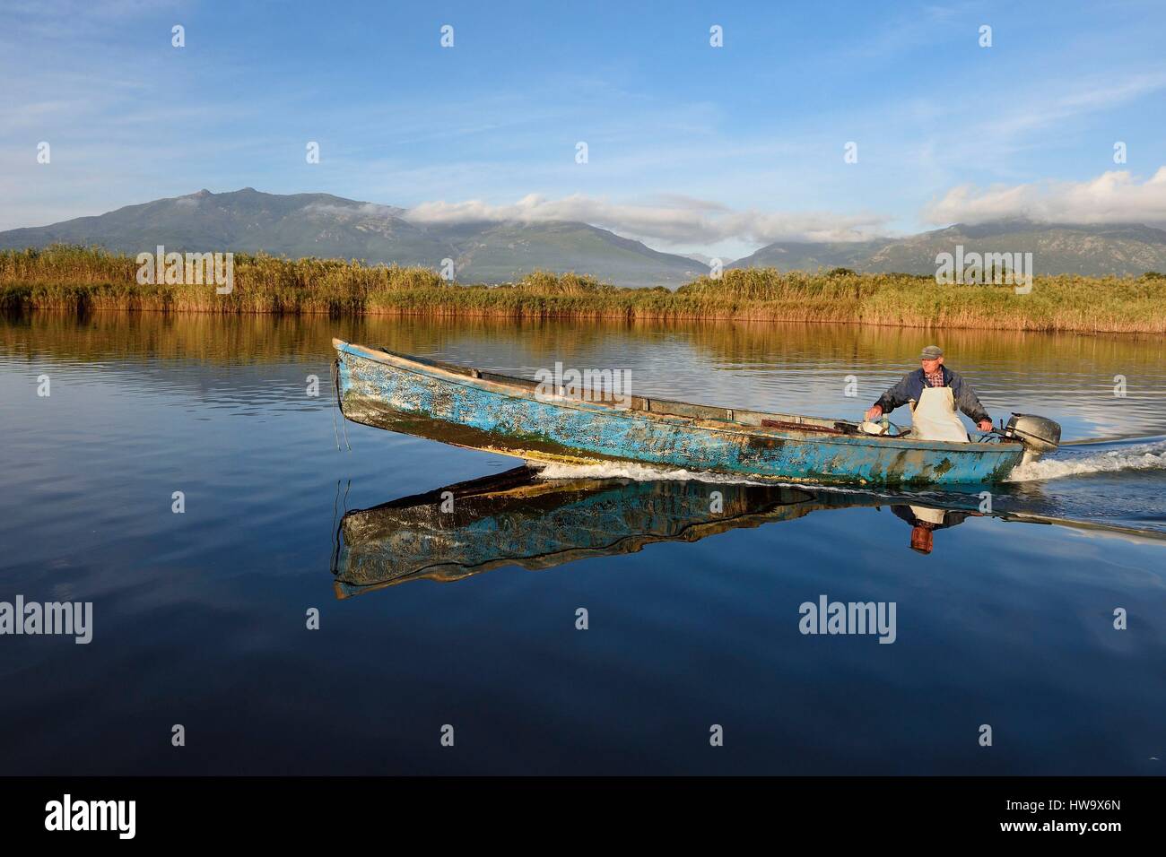 Frankreich, Haute Corse, Fischer in einem Boot auf dem Teich von Biguglia (Stagnu di Chiurlinu), Naturpark von Korsika (RNC) Stockfoto