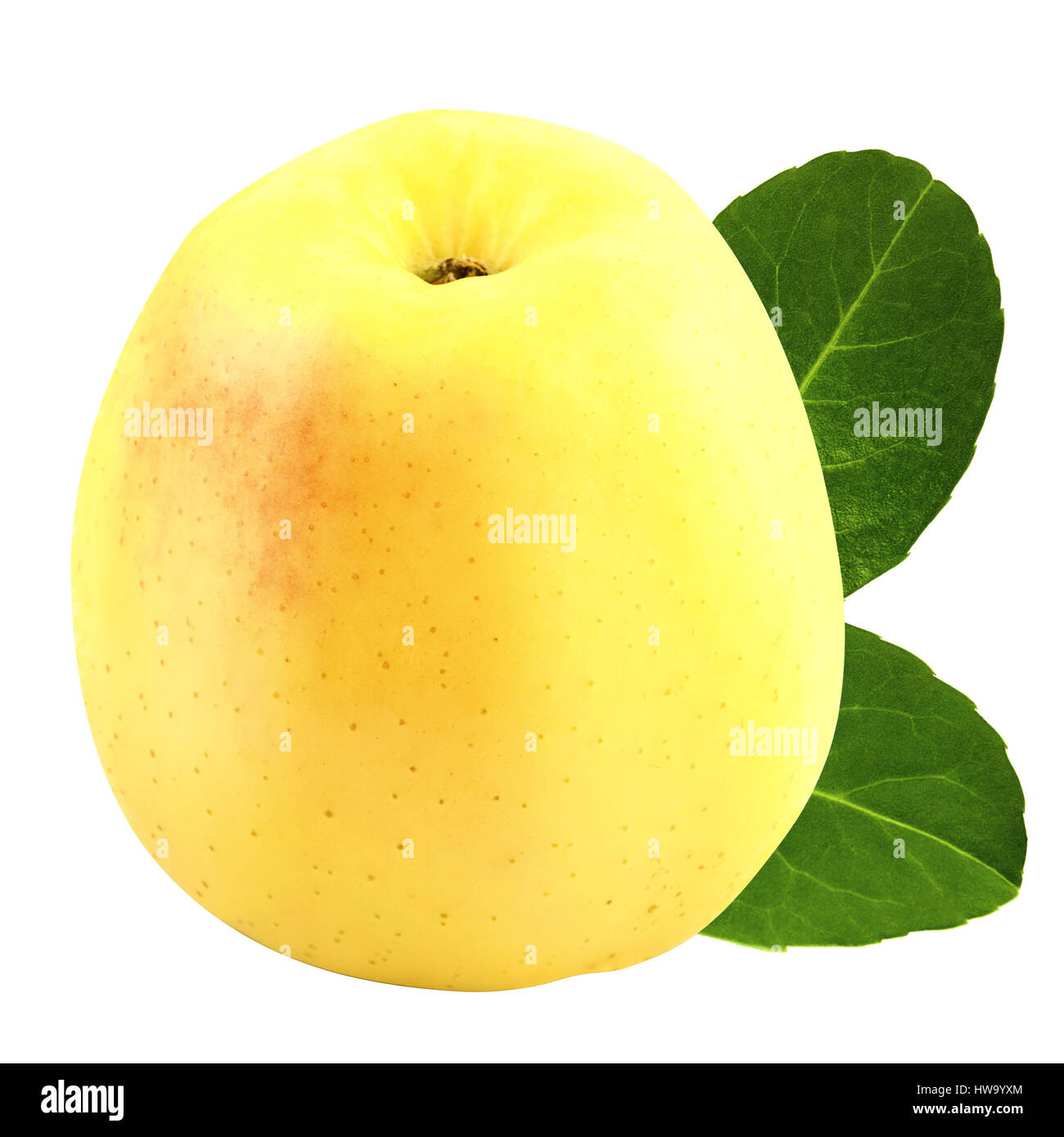 Isolierte Äpfel. gelber Apfel auf Weiß mit einen Freistellungspfad isoliert Stockfoto