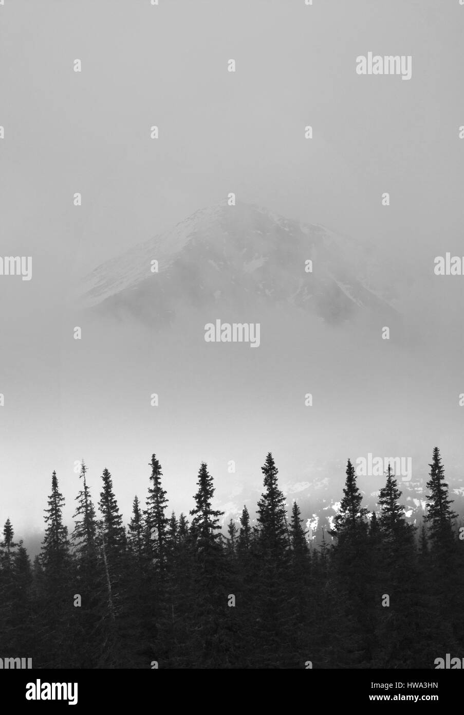 getrübte Berg Tatry Stockfoto