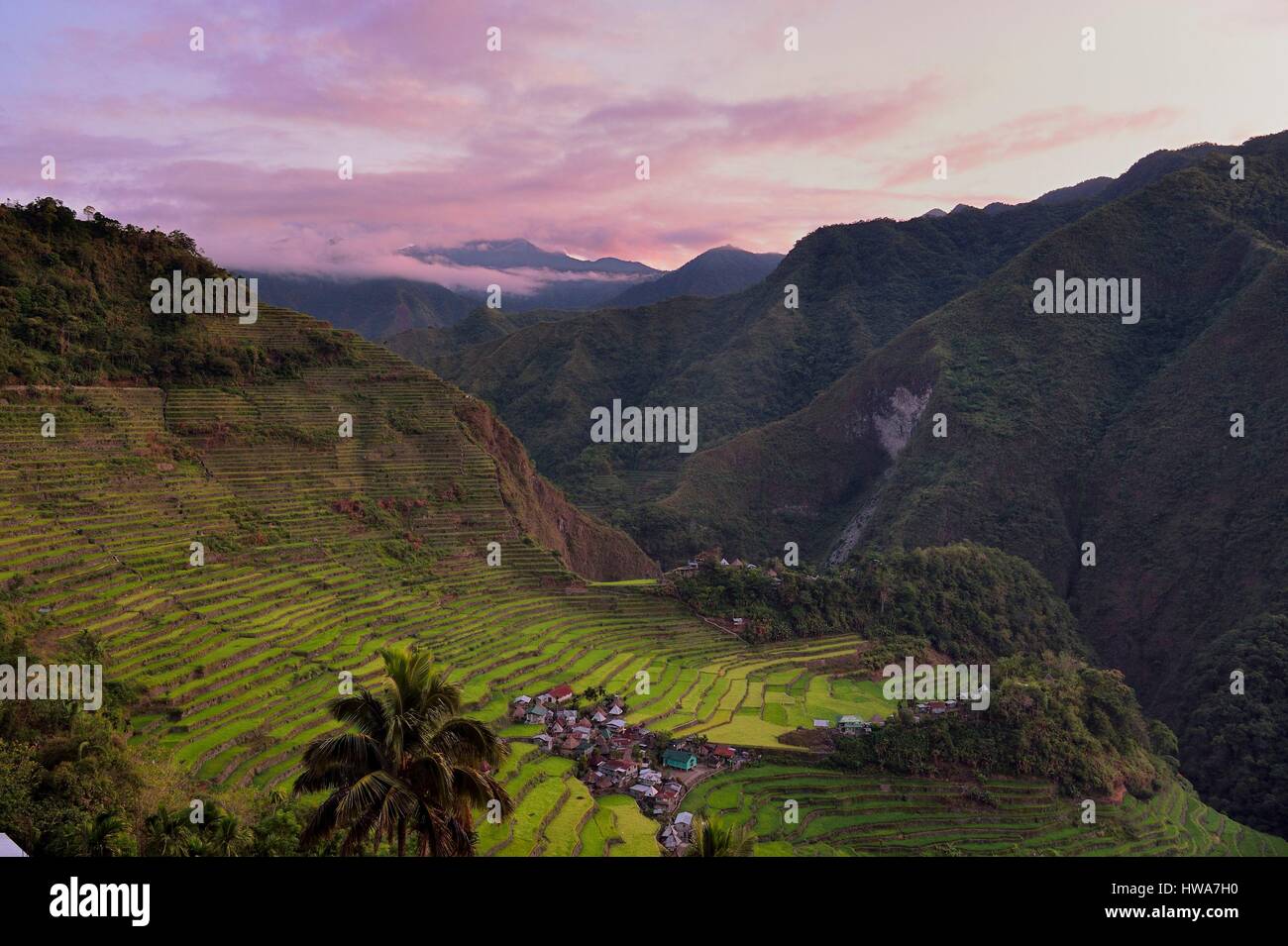 Philippinen, Ifugao Provinz, Banaue Reis-Terrassen rund um das Dorf Batad, Weltkulturerbe der UNESCO, gespeist von einer alten Bewässerung-syste Stockfoto