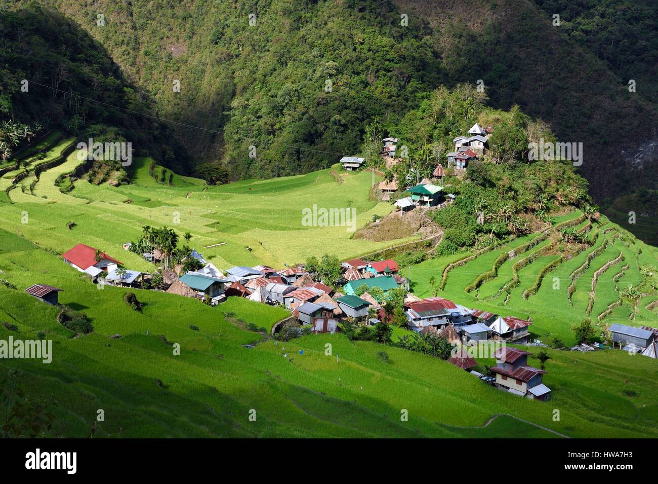 Philippinen, Ifugao Provinz, Banaue Reis-Terrassen rund um das Dorf Batad, Weltkulturerbe der UNESCO, gespeist von einer alten Bewässerung-syste Stockfoto