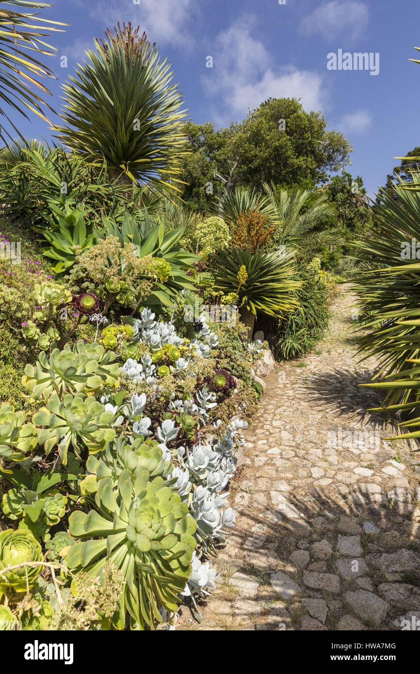 Portugal, Lisboa e Setubal Provinz Sintra Weltkulturerbe von der UNESCO, der Park und die mexikanischen Garten des Palazzo Monserrate Stockfoto