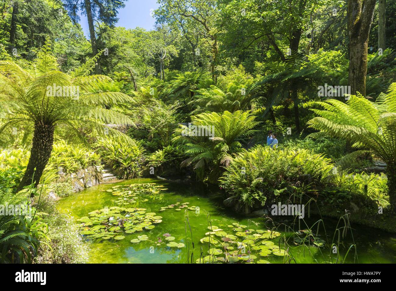 Portugal, Lisboa e Setubal Provinz, Sintra Weltkulturerbe der UNESCO, die Gärten von Pena Nationalpalast, erbaut im 19. Jahrhundert von Ferd Stockfoto