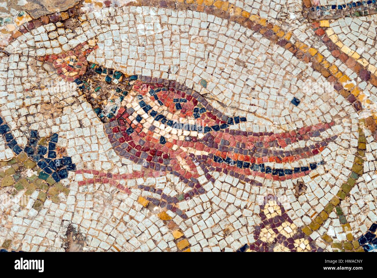 Tunesien, Nordwest-Region, römischen Ruinen von Bulla Regia, neue Haus der Jagd, Mosaik, Vogel-Mosaik Stockfoto