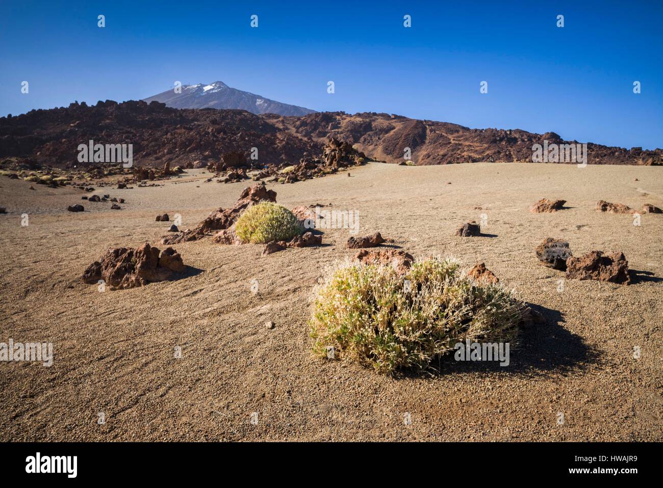 Spanien, Kanarische Inseln, Teneriffa, Parque Nacional del Teide, Berg Wüstenlandschaft Stockfoto