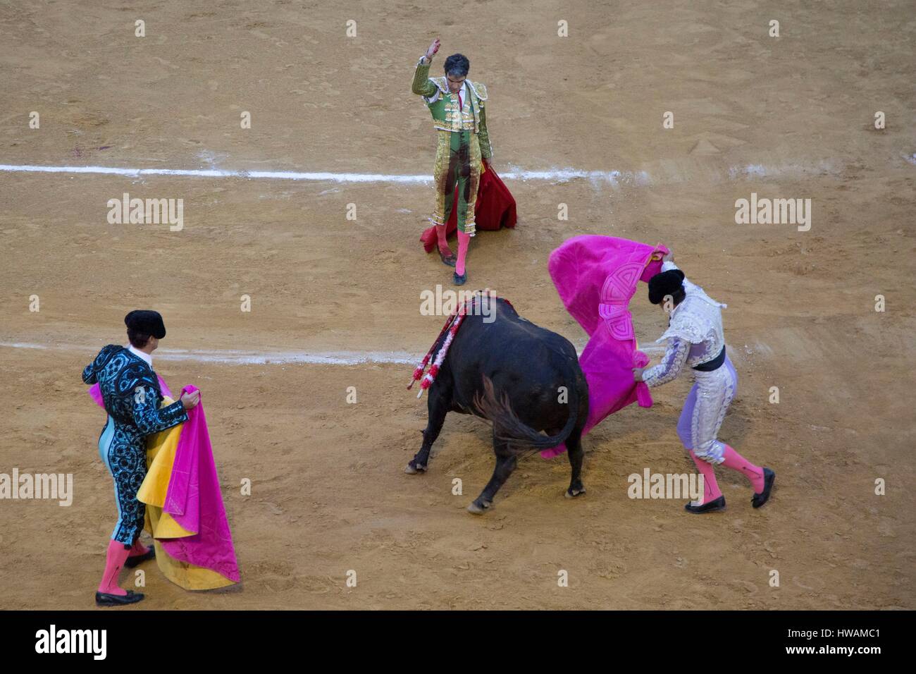 Andalusien, Jerez De La Frontera, Spanien, Jerez Stierkampfarena, der Maestro Jose Tomas begrüßt seinen Stier nach der Tötung im Mai 2016 Stockfoto