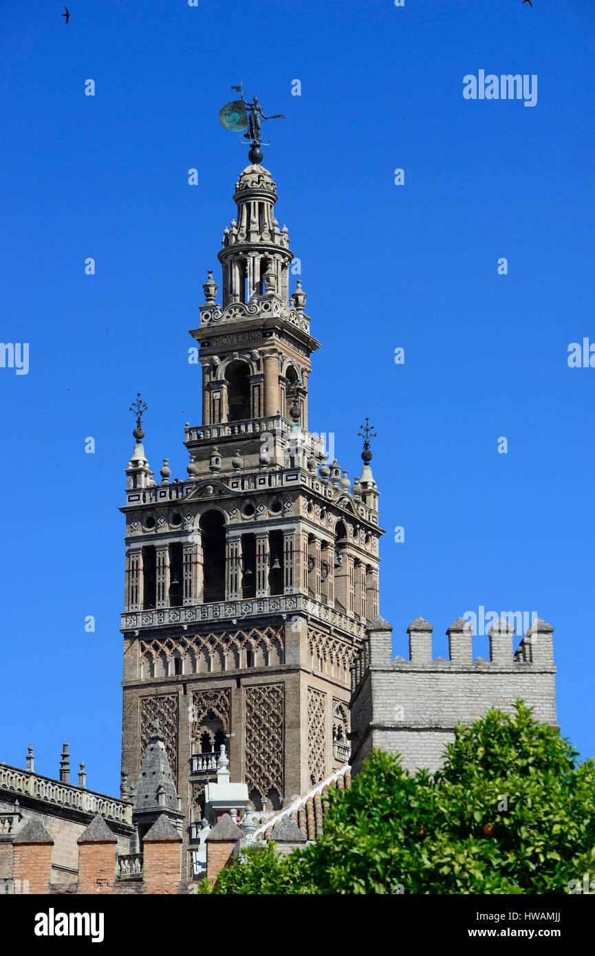Spanien, Andalusien, Sevilla (Sevilla), Giralda Turm, ehemalige Almohaden Minarett der großen Moschee Glockenturm der Kathedrale umgewandelt, aufgeführt als W Stockfoto