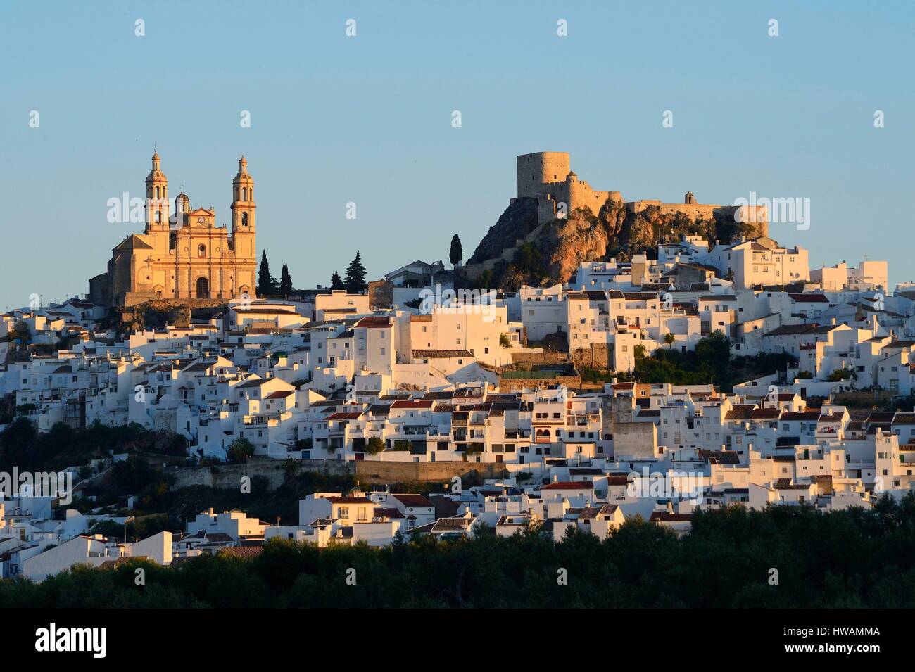 Spanien, Andalusien, weiße Dorf Olvera, die Kirche der Madonna der Menschwerdung und der arabischen Festung Stockfoto