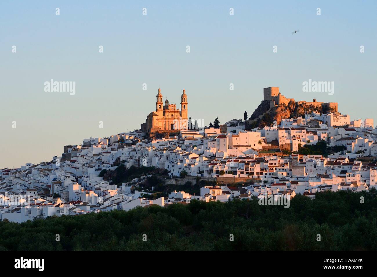 Spanien, Andalusien, weiße Dorf Olvera, die Kirche der Madonna der Menschwerdung und der arabischen Festung Stockfoto