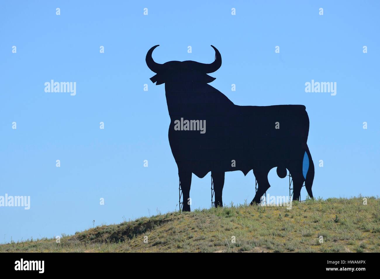 Spanien, Andalusien, El Toro Osborne, Symbol für den spanischen Stier in einem Feld (Werbung für Osborne, ein Geist-Fabrik) Stockfoto