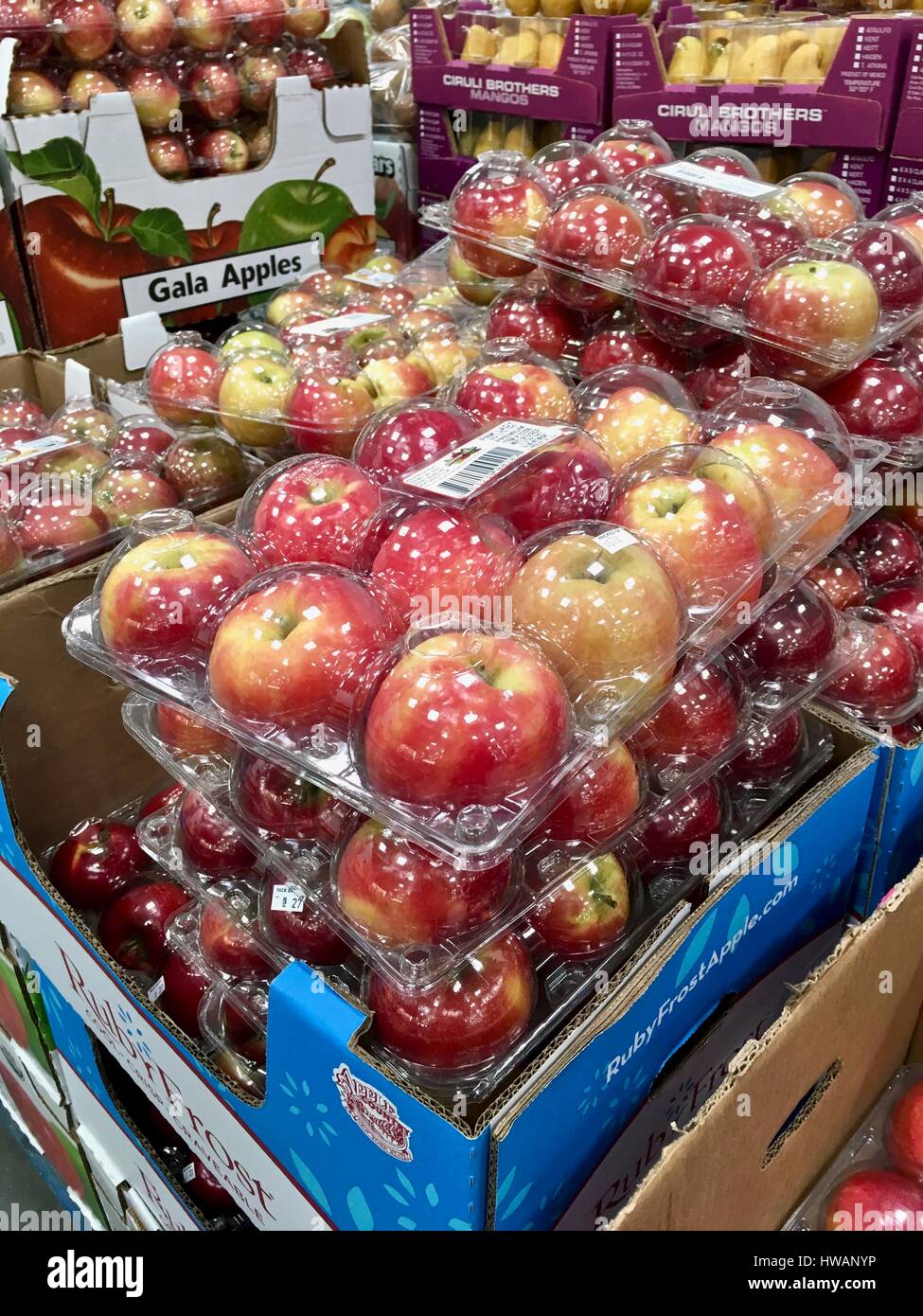 Verpackten Äpfel bei Costco Stockfoto