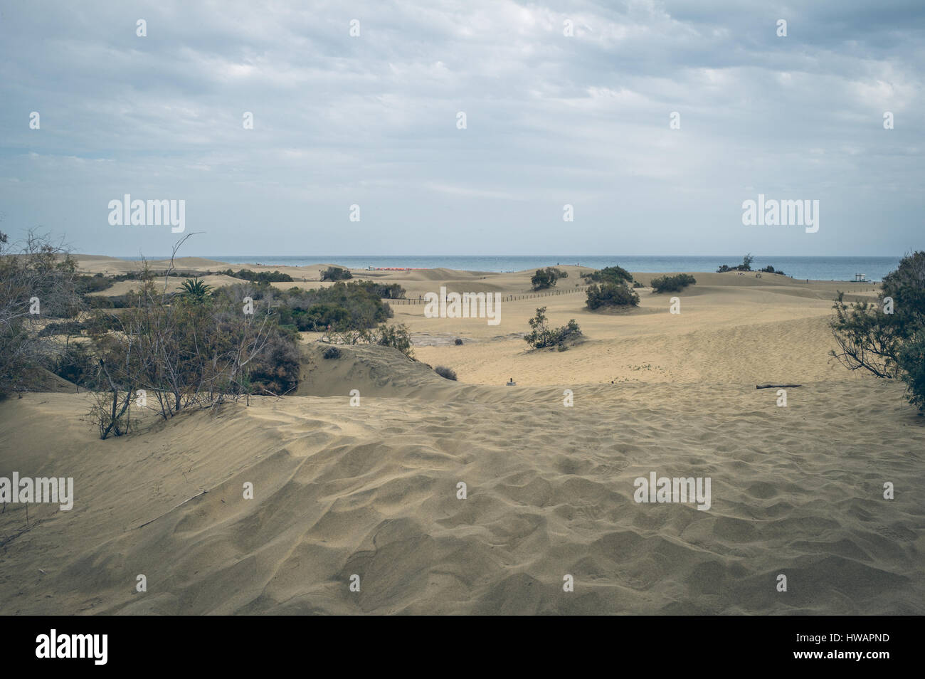 ein Blick auf die natürliche Reserve der Dünen von Maspalomas in Gran Canaria, Kanarische Inseln, Spanien Stockfoto