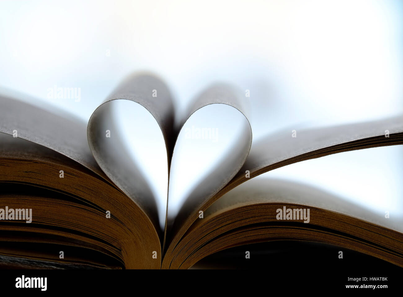 Herzform mit Buchseiten – „Liebe zum Lesen“-Konzept Stockfoto