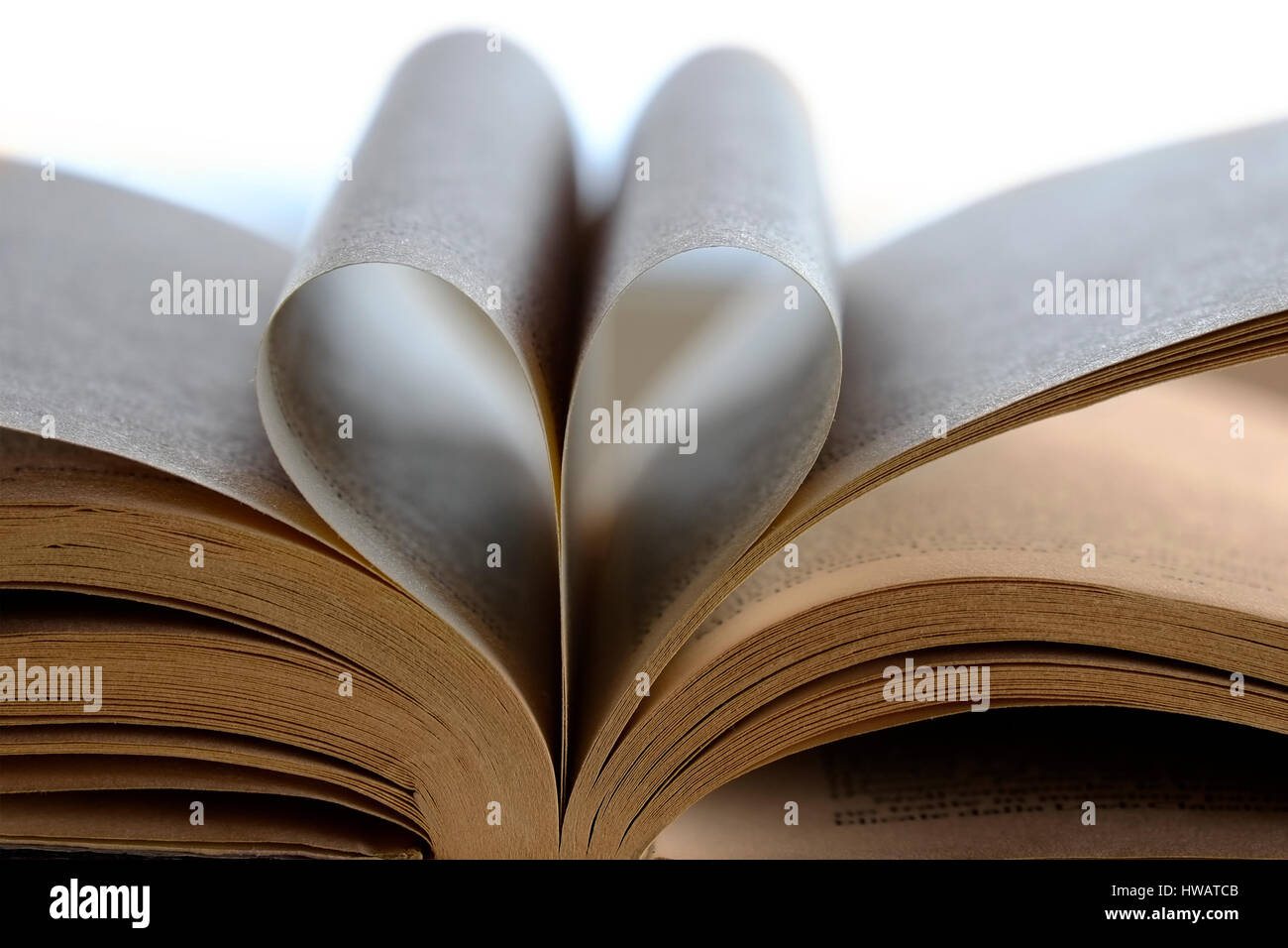 Herzform mit Buchseiten – „Liebe zum Lesen“-Konzept Stockfoto