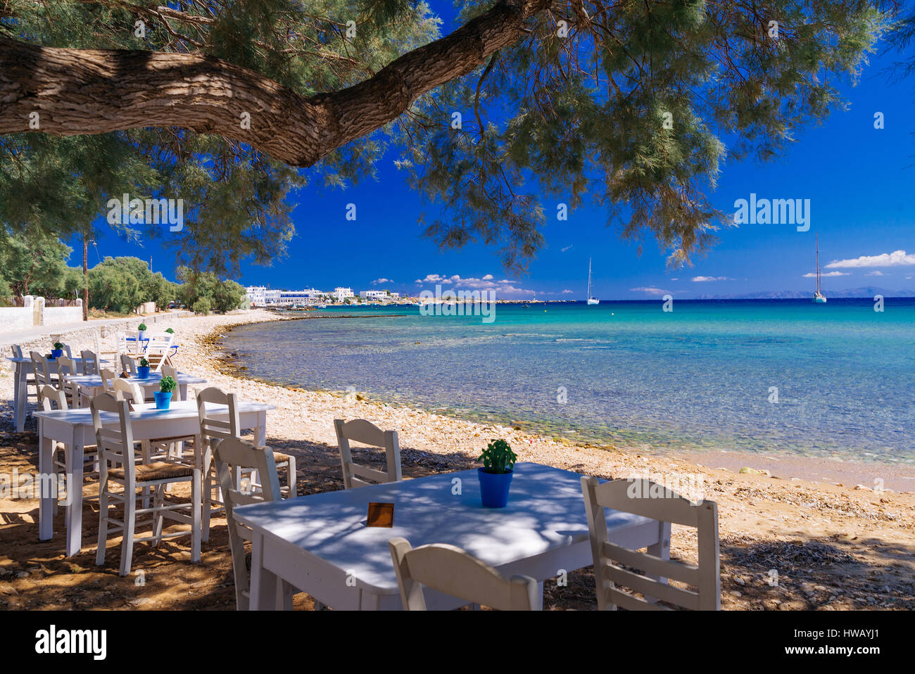 Niedliche kleine Taverne in den Olivenbäumen Schatten auf der Insel Paros, Kykladen Paradise Resort, Kykladen, Griechenland Stockfoto