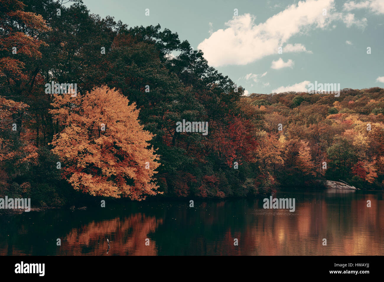 Buntes Herbstlaub mit See Spiegelung. Stockfoto