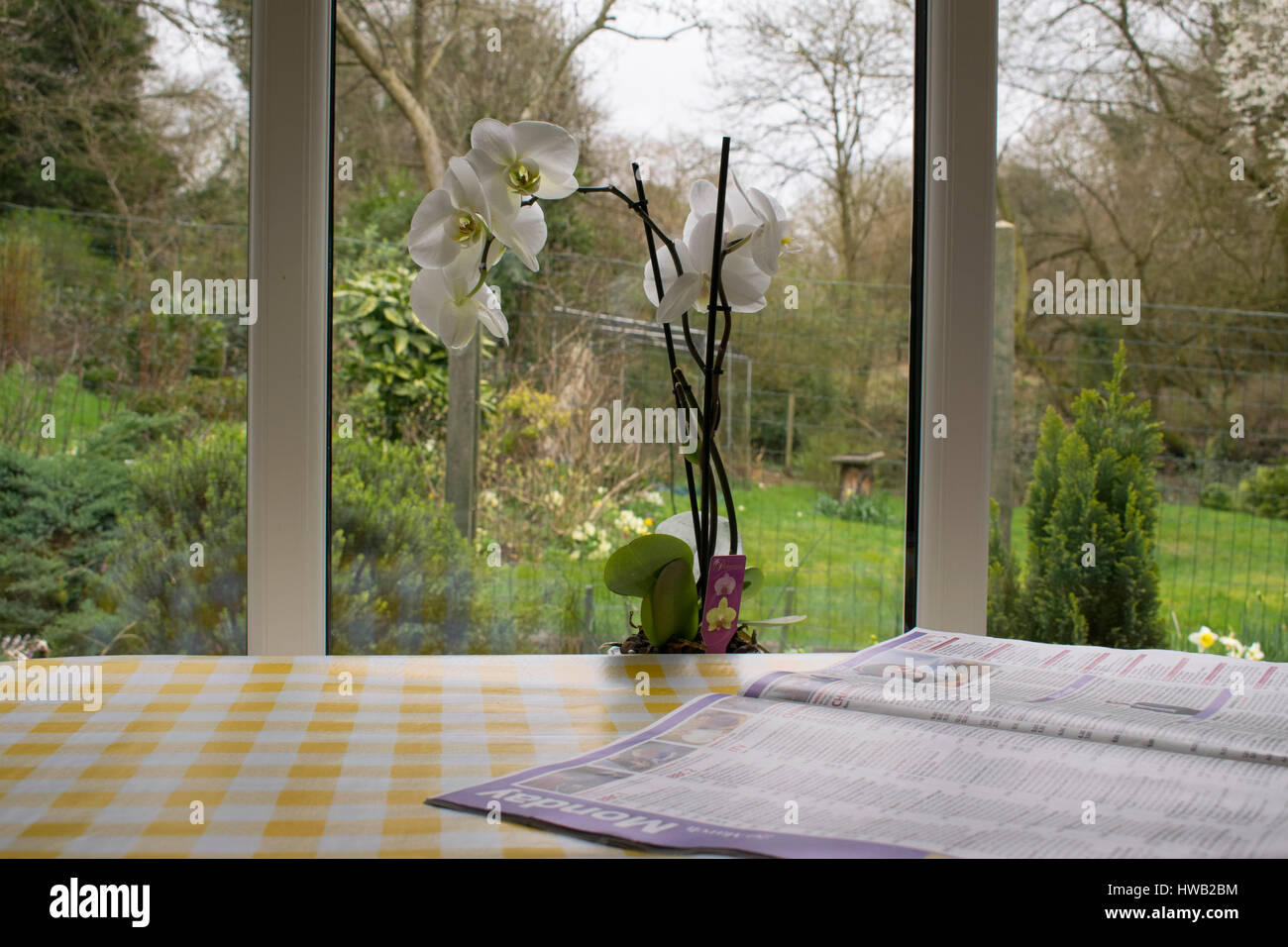 Gartenblick mit Tv-Programm Stockfoto