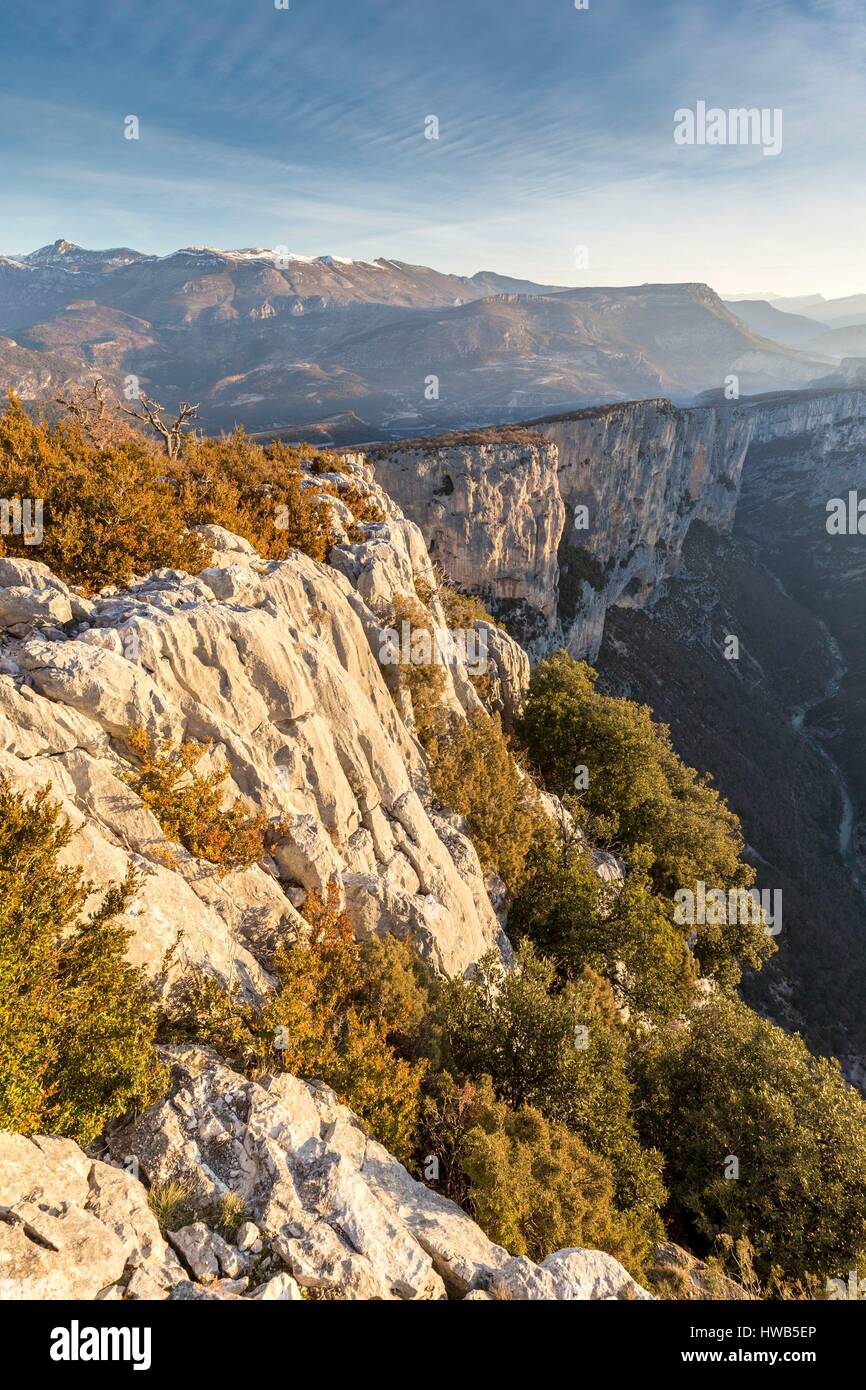 Frankreich, Alpes-de-Haute-Provence, regionalen Naturpark von Verdon, Grand Canyon von Verdon, Klippen von Barres von Escalès vom Belvedere von Dent gesehen d'Aire Stockfoto