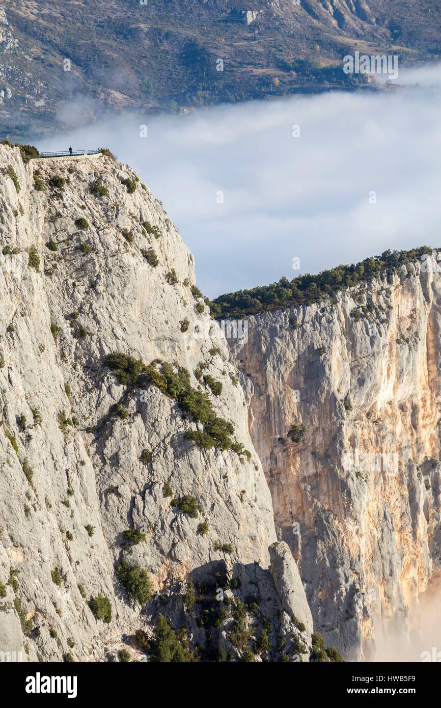 Frankreich, Alpes de Haute-Provence, regionalen Naturpark des Verdon, Grand Canyon du Verdon, Klippen des Barres Escalès Stockfoto