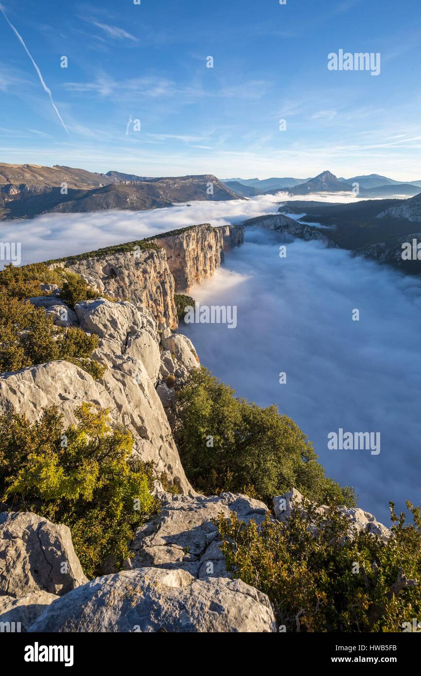 Frankreich, Alpes-de-Haute-Provence, regionalen Naturpark von Verdon, Grand Canyon von Verdon, Klippen von Barres von Escalès vom Belvedere von Dent gesehen d'Aire, morgen Herbst Nebel Stockfoto