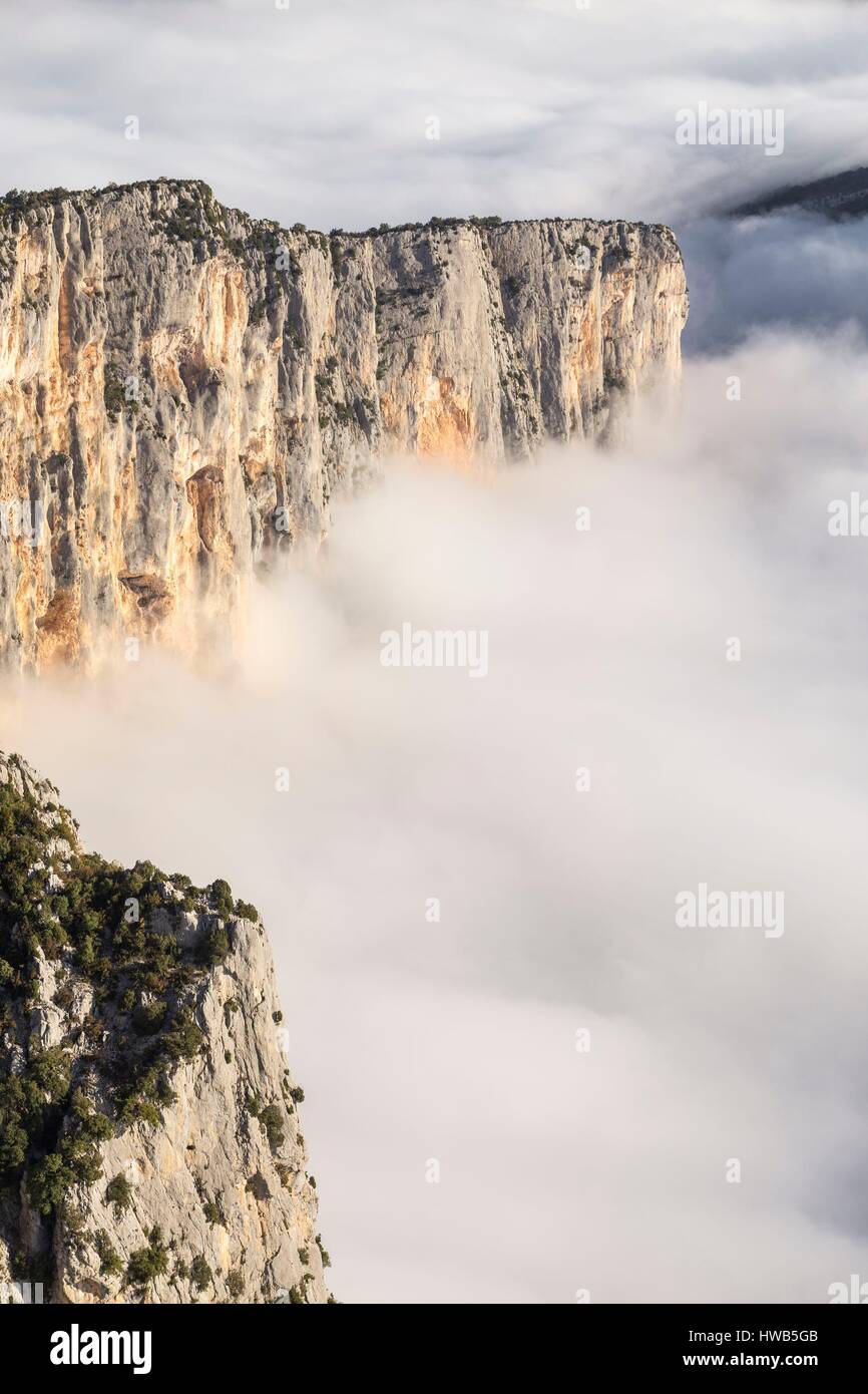 Frankreich, Alpes de Haute-Provence, regionalen Naturpark des Verdon, Grand Canyon du Verdon, Klippen des Barres Escalès, morgen im Herbst Nebel Stockfoto
