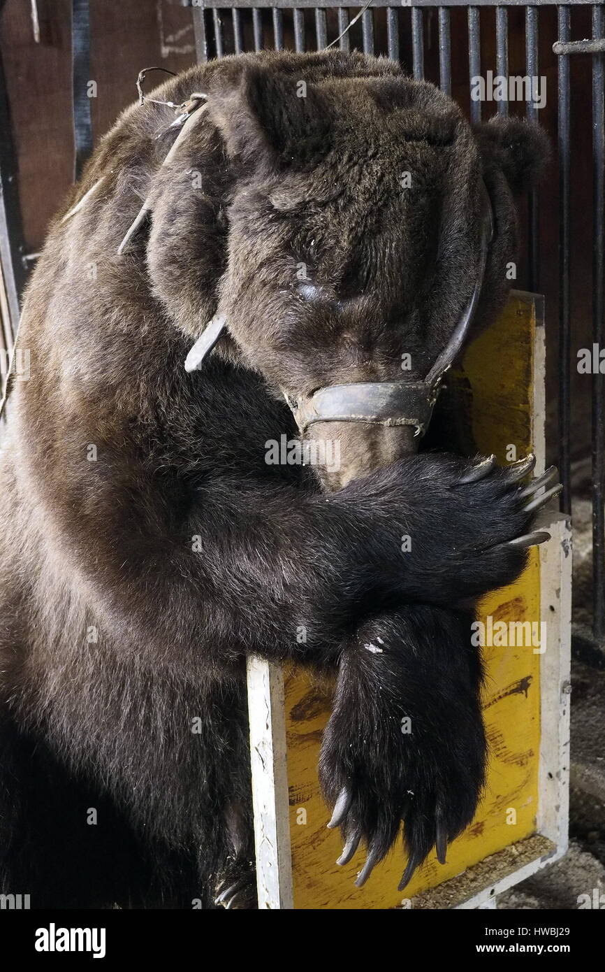 Kalach On Don Stockfotos und bilder Kaufen Alamy