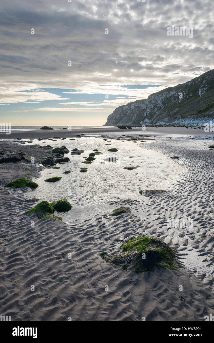 Speeton Sand und Bempton Klippen am südlichen Ende von Filey Bay, North Yorkshire, England. Stockfoto