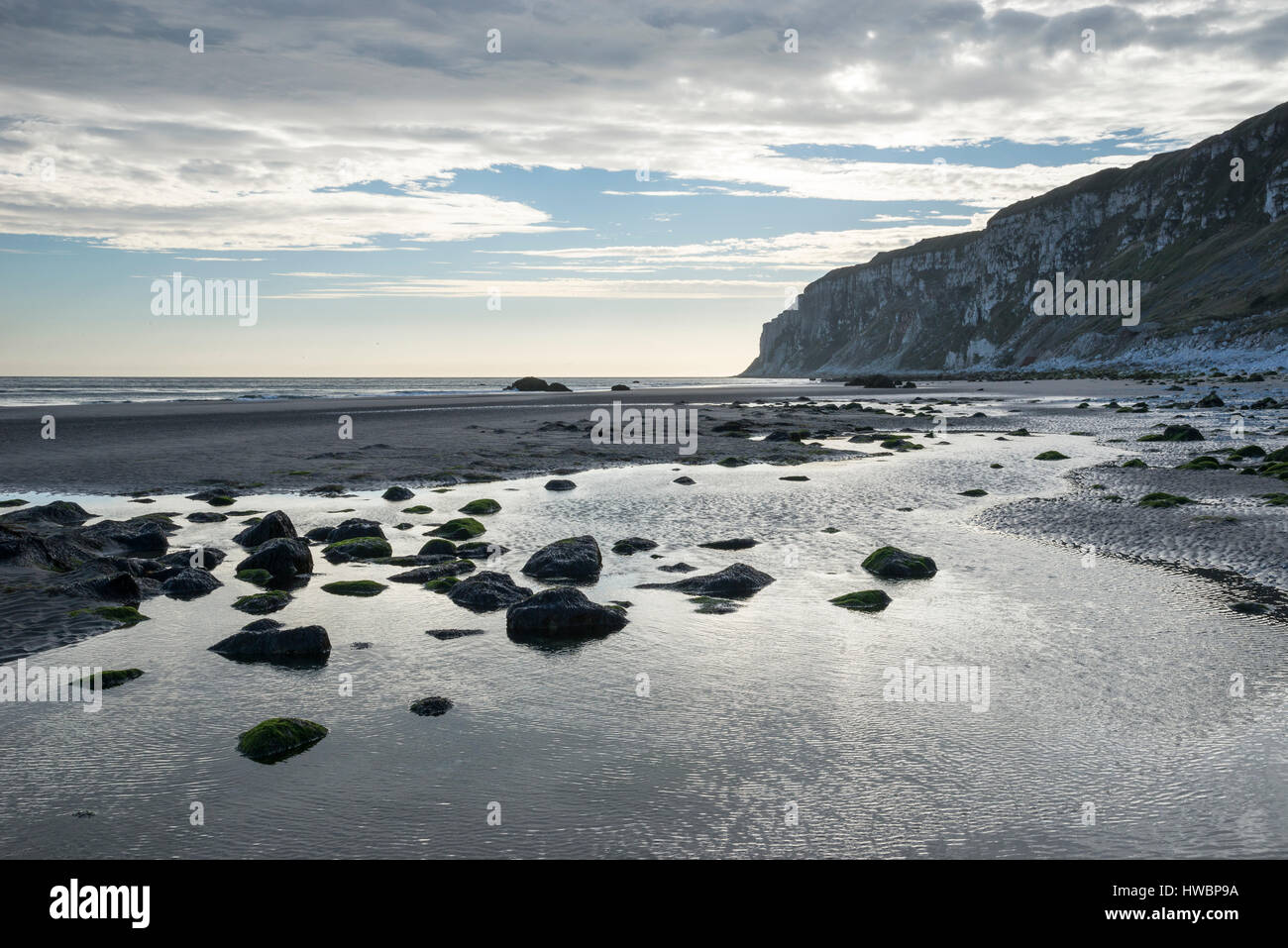 Speeton Sand und Bempton Klippen am südlichen Ende von Filey Bay, North Yorkshire, England. Stockfoto