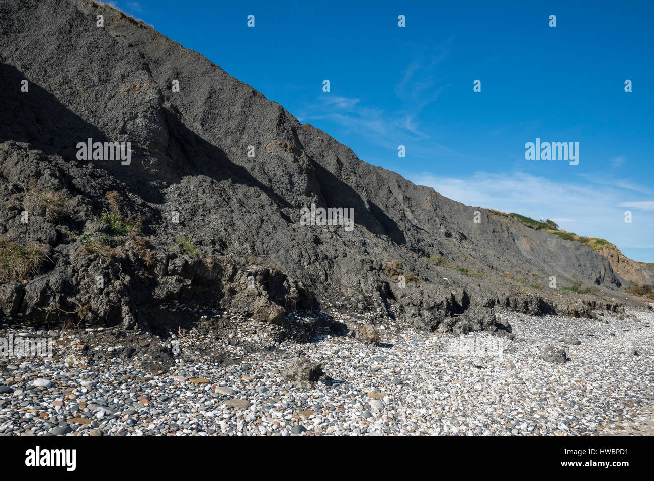 Speeton Ton in Filey Bay. Ein Gebiet bekannt für seine fossilen findet auf der Küste von North Yorkshire. Stockfoto