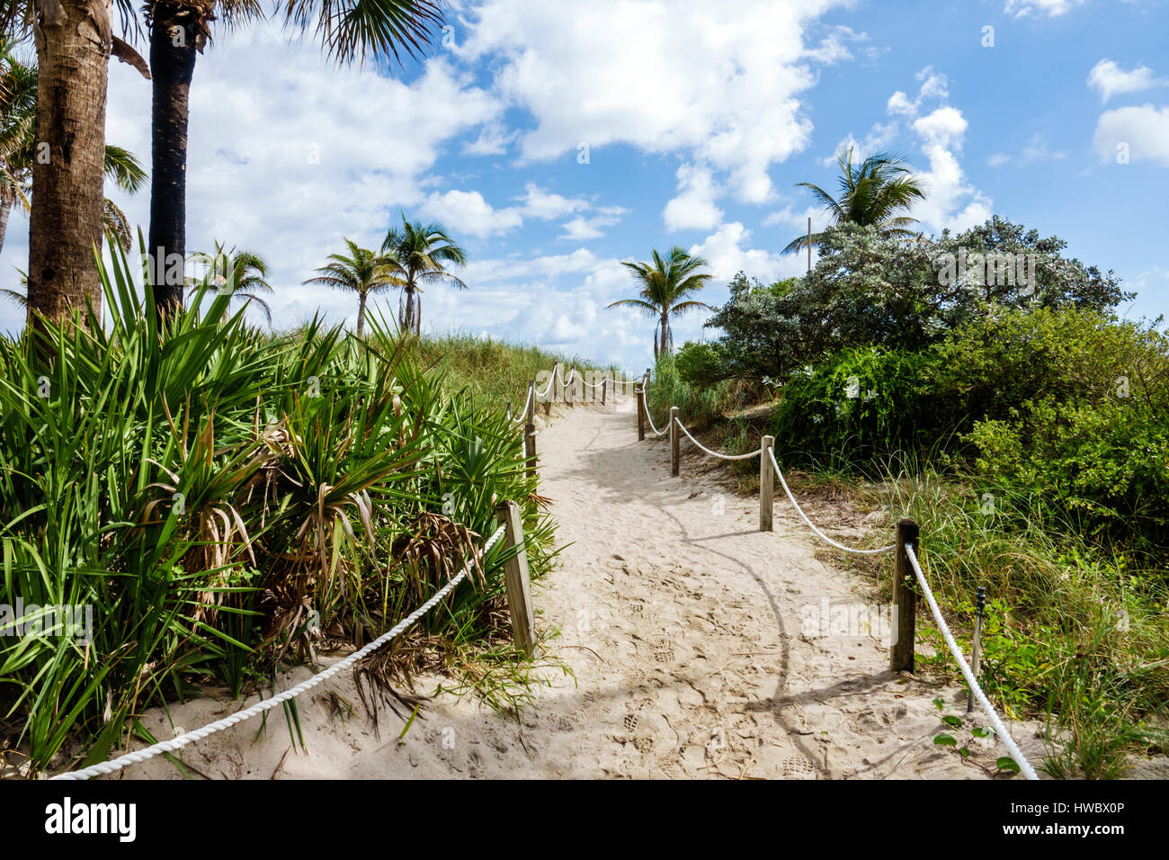 Miami Beach, Florida, South Beach Promenade, Strandpromenade, Düne, Strandweg, Sand, Gehweg mit Überseilt, Vegetation, FL170205013 Stockfoto