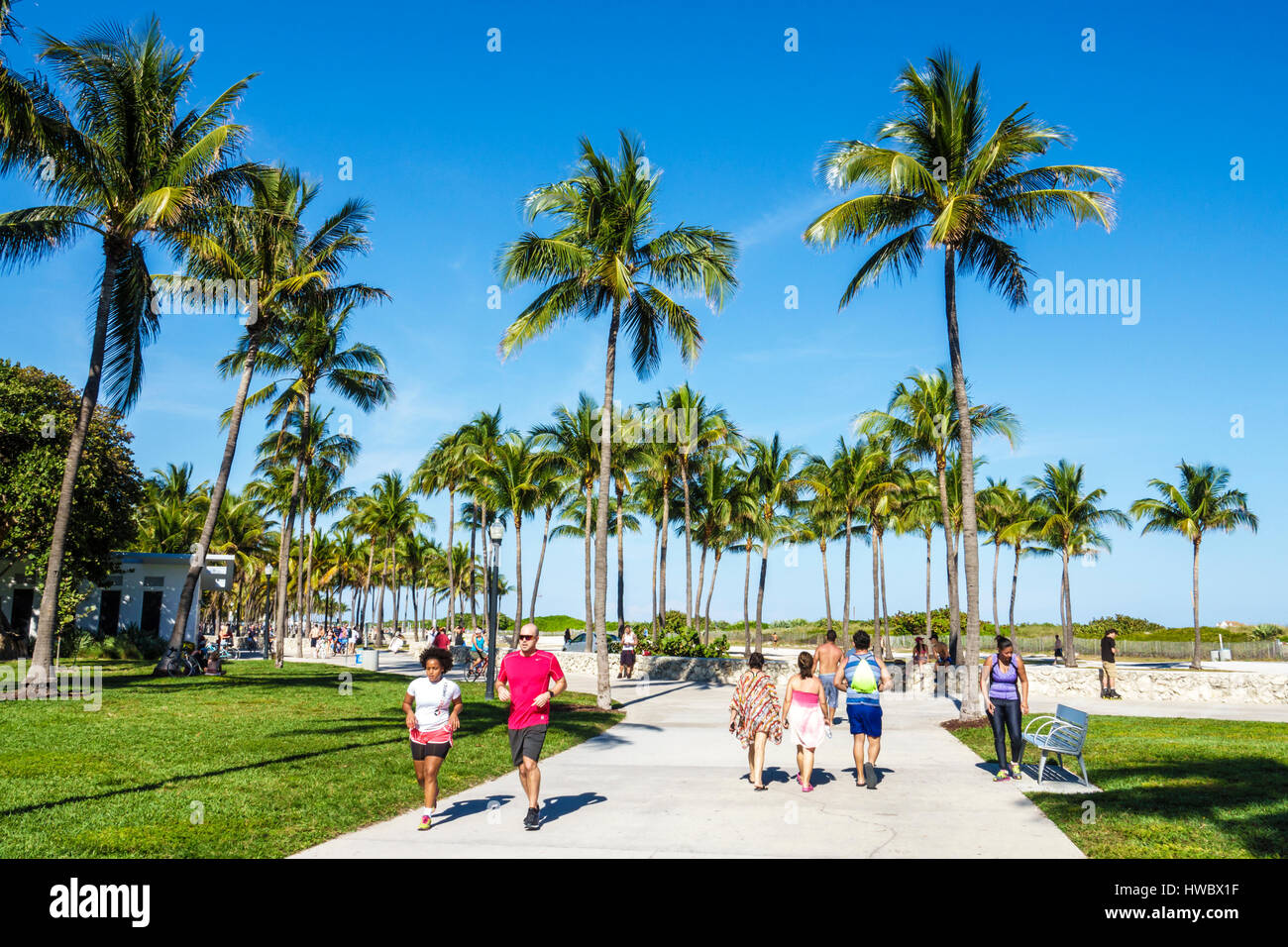 Miami Beach Florida, Ocean Drive, Lummus Park, Serpentine Trail, Gehweg, Promenade, Erwachsene Erwachsene Erwachsene Männer Männer, Frauen, Frauen, Frauen, Frauen, Frauen, Joggen, Pfad, Palme Stockfoto