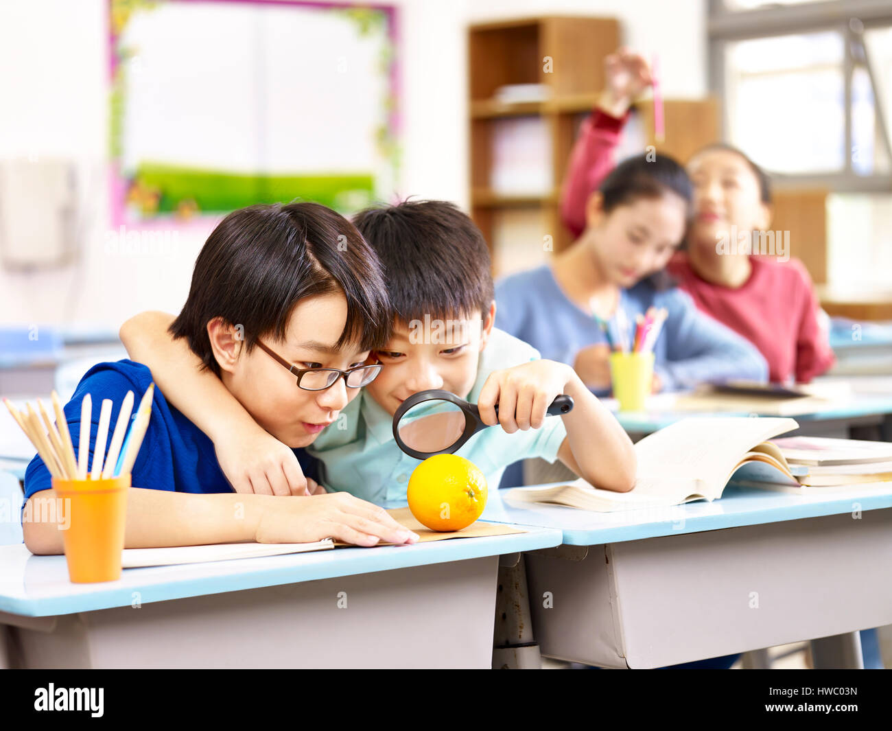 zwei asiatische Grundschule Studenten mit Lupe genauer betrachtet eine Orange im Klassenzimmer. Stockfoto