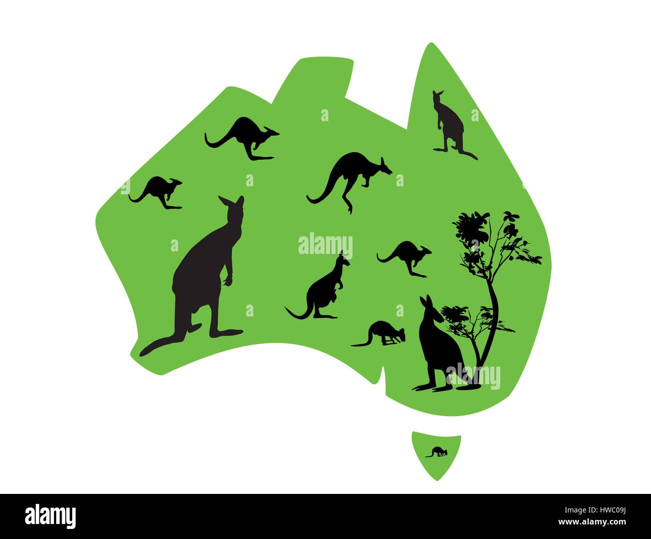 grüne Karte von Australien mit vielen Kängurus Stock Vektor
