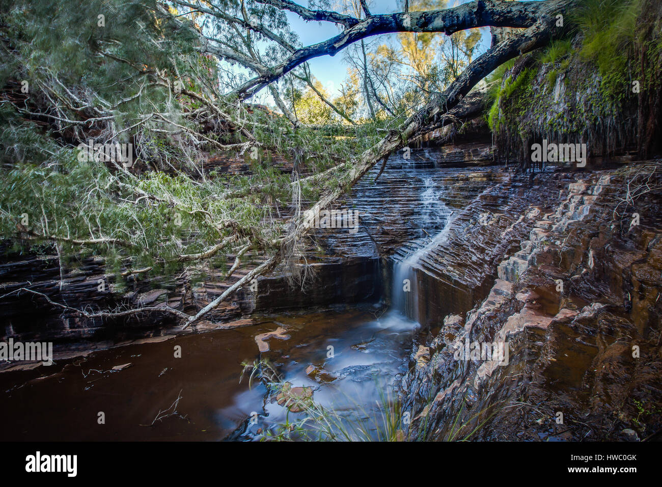 Karijini National Park, Pilbera, Western Australia, Australia Stockfoto