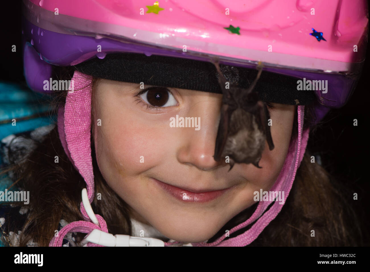 Lächelndes Kind mit Fledermaus hängen vom Helm. Freundlichen weniger Hufeisennase ruht auf Mädchen Fahrradhelm in einer Höhle in Somerset, Großbritannien Stockfoto